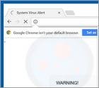 Windows Security Alert (Windows beveiligingswaarschuwing) Oplichting