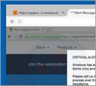 CRITICAL ALERT FROM WINDOWS (KRITIEKE WAARSCHUWING VAN WINDOWS) Oplichting
