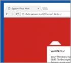 Microsoft System Security Alert oplichting