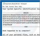InfiniteTear ransomware