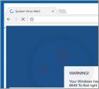 Dangerous Try To Get Access To Your Personal Logins oplichting