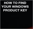 Hoe vind je je Windows of Office productcode?