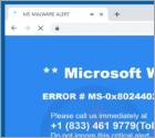 ERROR # MS-0x8024402C POP-UP oplichting