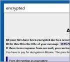 BORISHORSE Ransomware