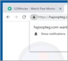 Hajoopteg.com POP-UP doorverwijzing