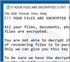 Buran ransomware