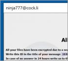 Ninja ransomware