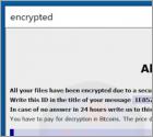 Bablo ransomware