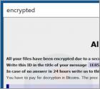 Dever ransomware