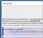 Devon ransomware