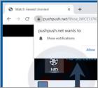 Pushpush.net advertenties