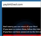 payB ransomware