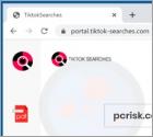 TiktokSearches browserkaper
