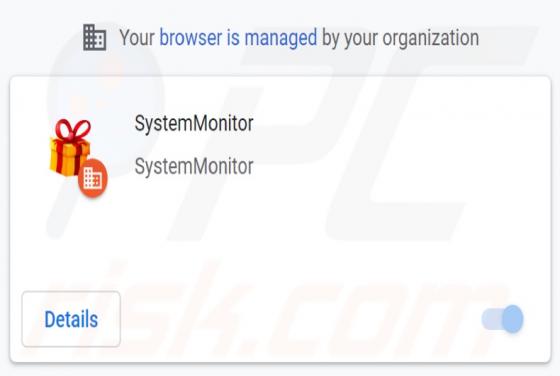 De SystemMonitor adware