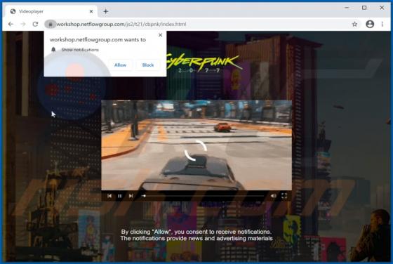 De Netflowgroup.com advertenties