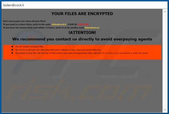 De Biden ransomware
