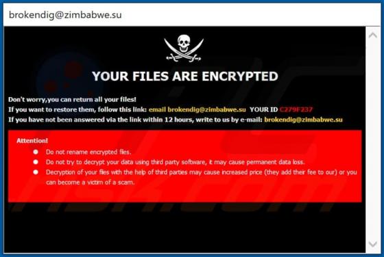 De Pirat ransomware
