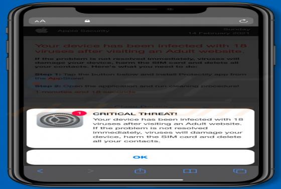Device Infected After Visiting An Adult Website POP-UP Scam (Mac)