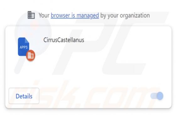 CirrusCastellanus Malicious Extension