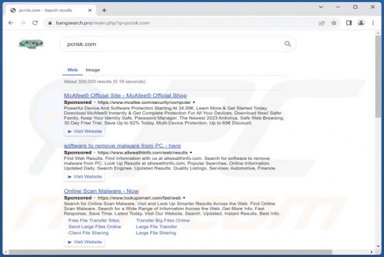 Bangsearch.pro doorverwijzing