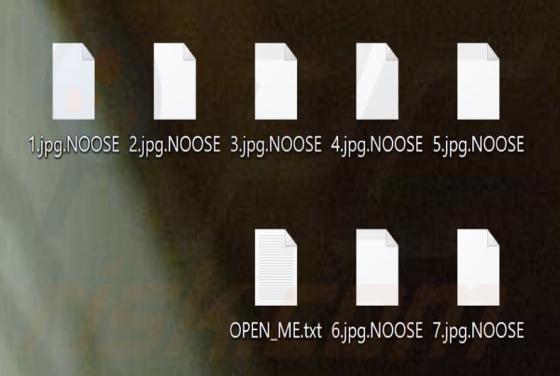 NOOSE Ransomware