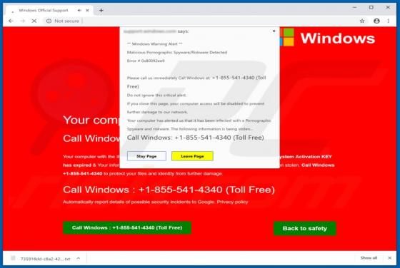 Error # 0x80092ee9 POP-UP Zwendel