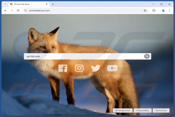 Animaltabnow.com doorverwijzing