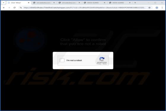 Netchainspan.com Ads