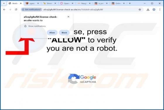 License-check-av.site advertenties