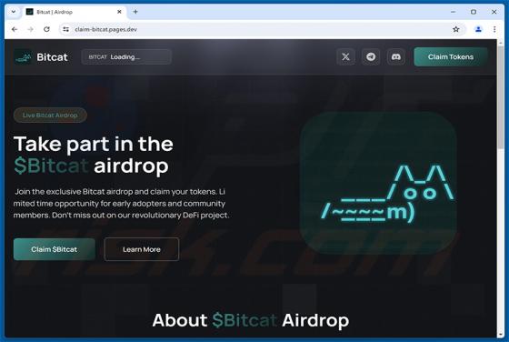 $Bitcat Airdrop fraude