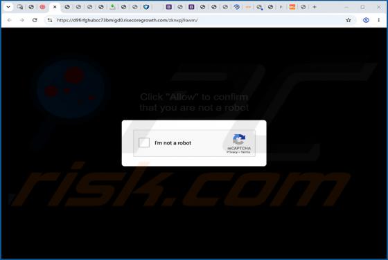 Risecoregrowth.com Advertenties