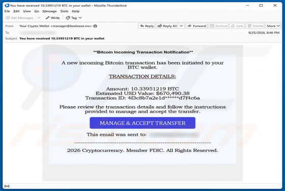 Incoming Bitcoin Transaction e-mailfraude