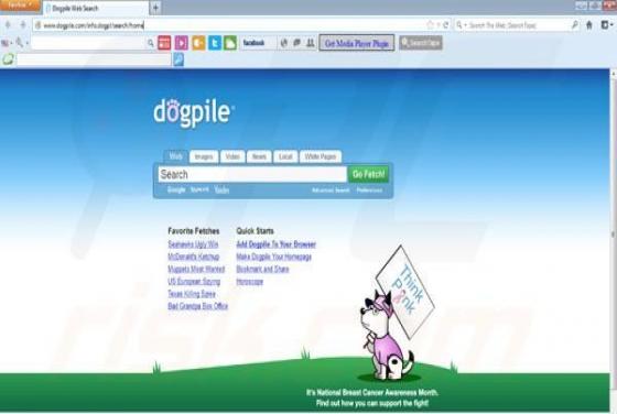 Dogpile Doorverwijzing