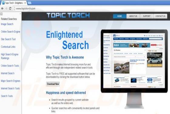 Topic Torch Virus