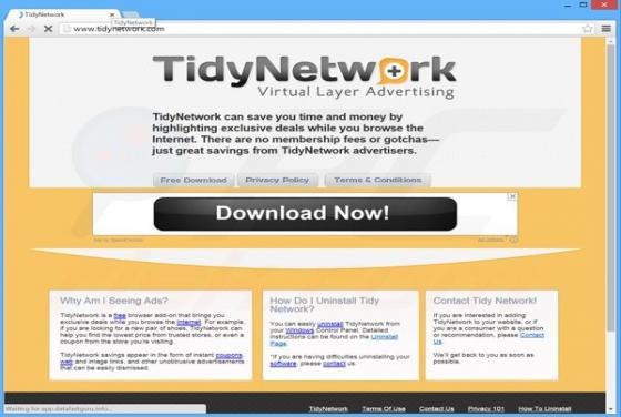 TidyNetwork Advertenties