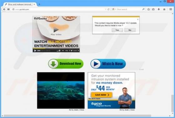 Ads by Browser Extension