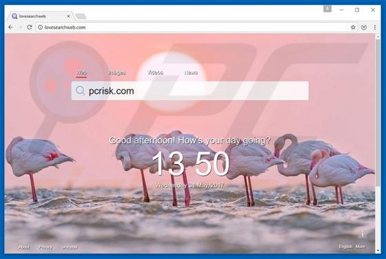 Lovesearchweb.com Doorverwijzing