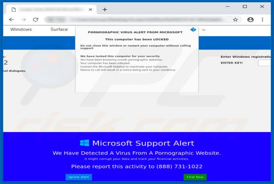 PORNOGRAPHIC VIRUS ALERT FROM MICROSOFT POP-UP oplichting