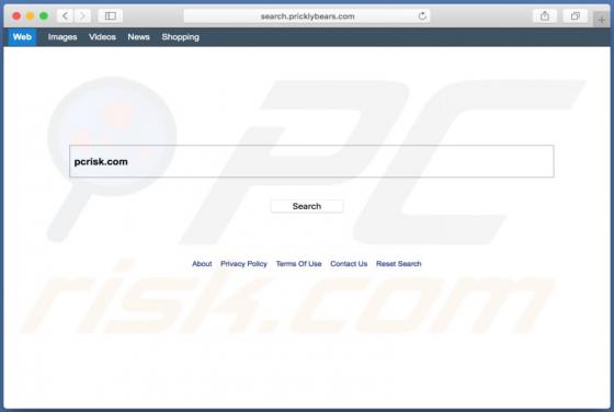 Search.pricklybears.com doorverwijzing (Mac)