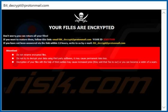 BOMBO ransomware